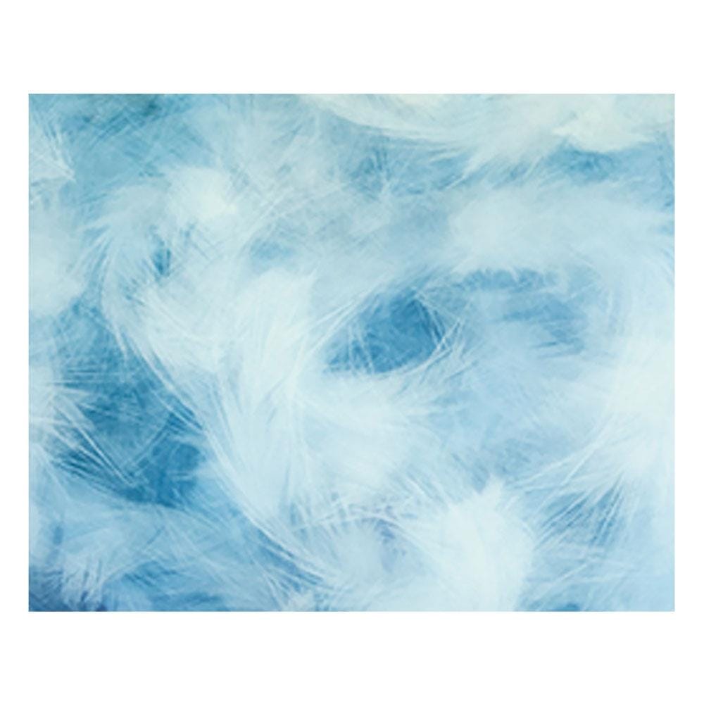 ปลอกผ้านวม EXOTICA 31XP SWBL 70X90 นิ้ว