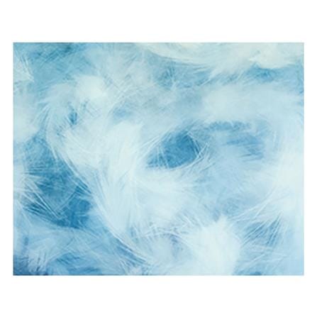 ปลอกผ้านวม EXOTICA 31XP SWBL 70X90 นิ้ว_3