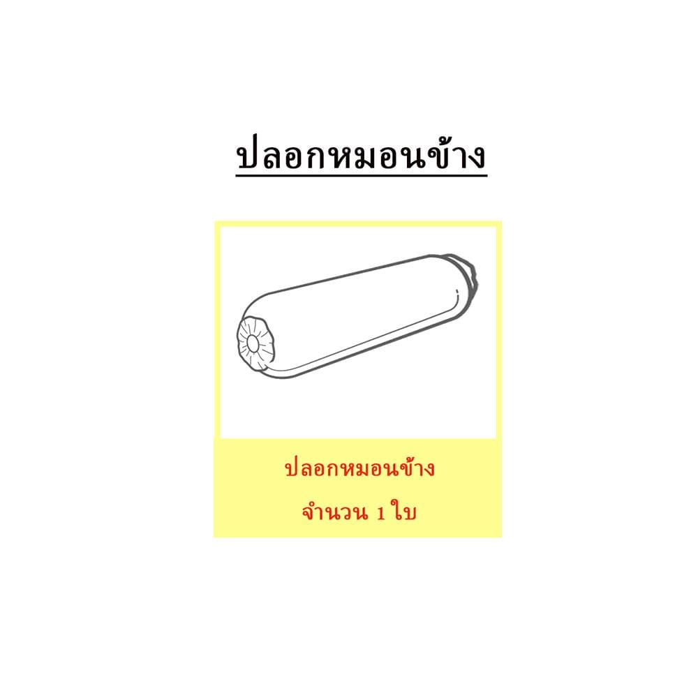 ปลอกหมอนข้าง EXOTICA 31XP KGCT