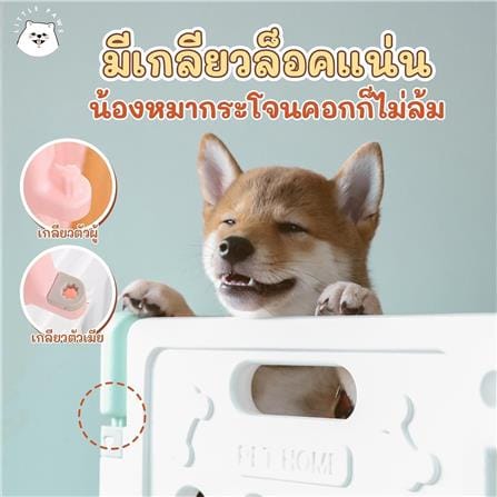 คอกกั้นสุนัขเพ็ทโฮม HOSTAIL ไซซ์ M สีเขียว/ขาว_1