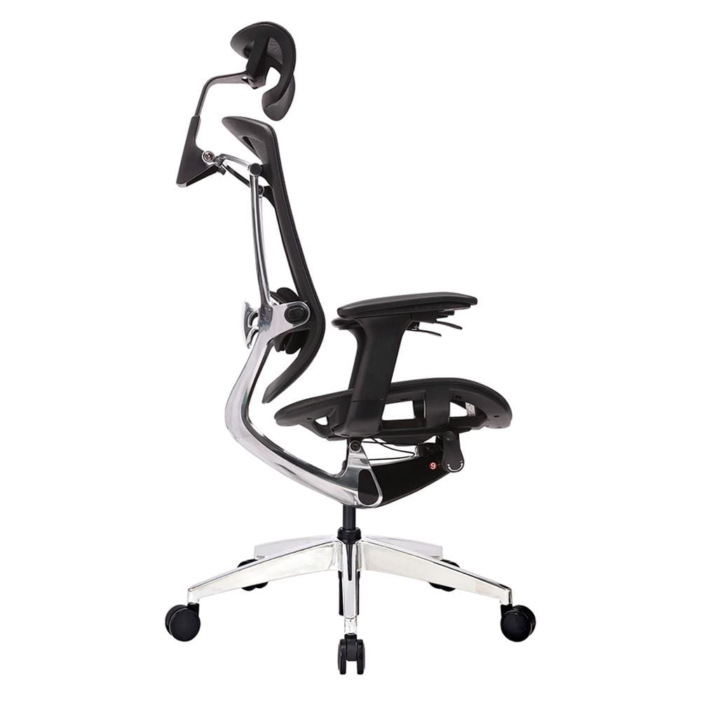เก้าอี้เพื่อสุขภาพ ERGOTREND รุ่น OSTER สีดำ