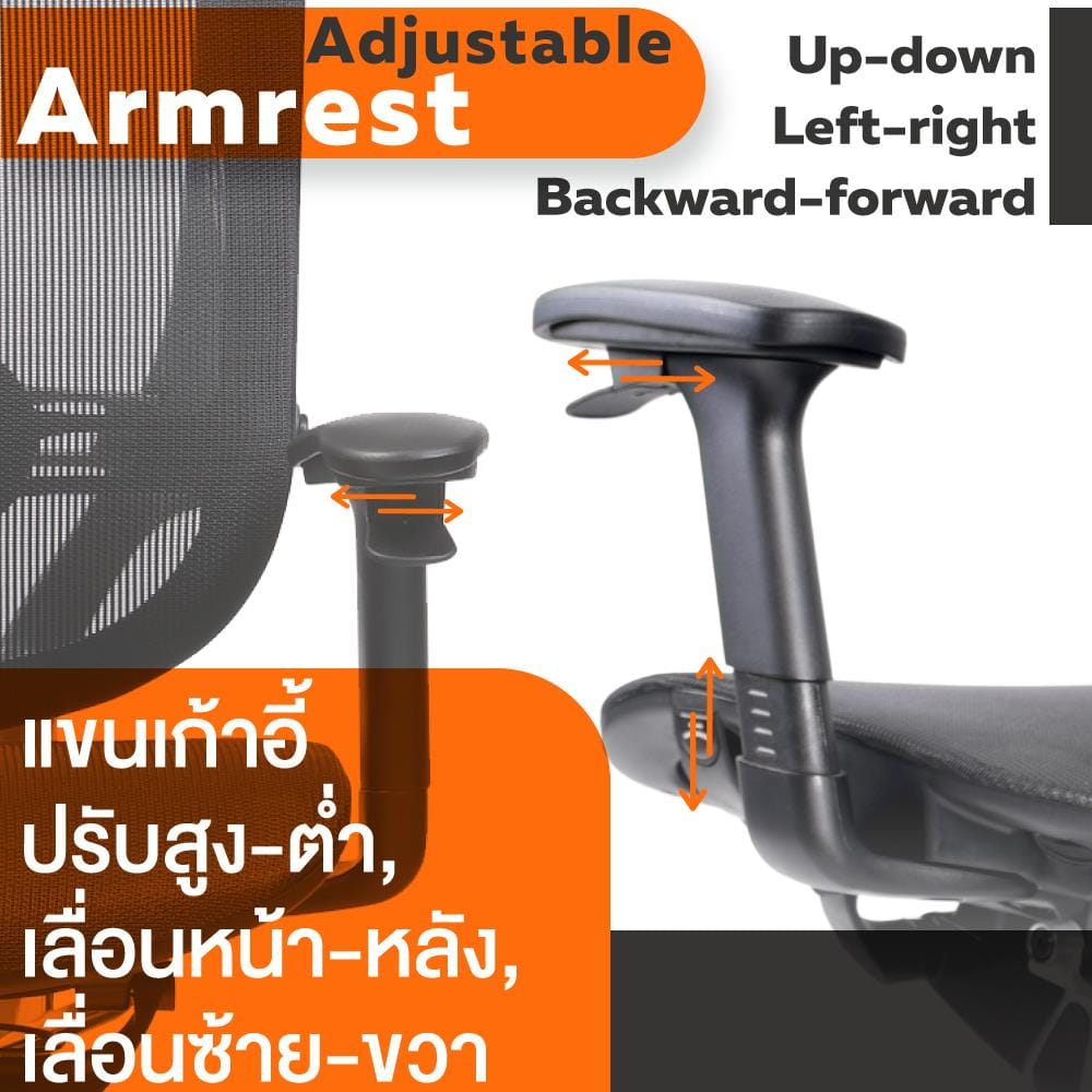 เก้าอี้เพื่อสุขภาพ ERGOTREND รุ่น OSTER สีดำ