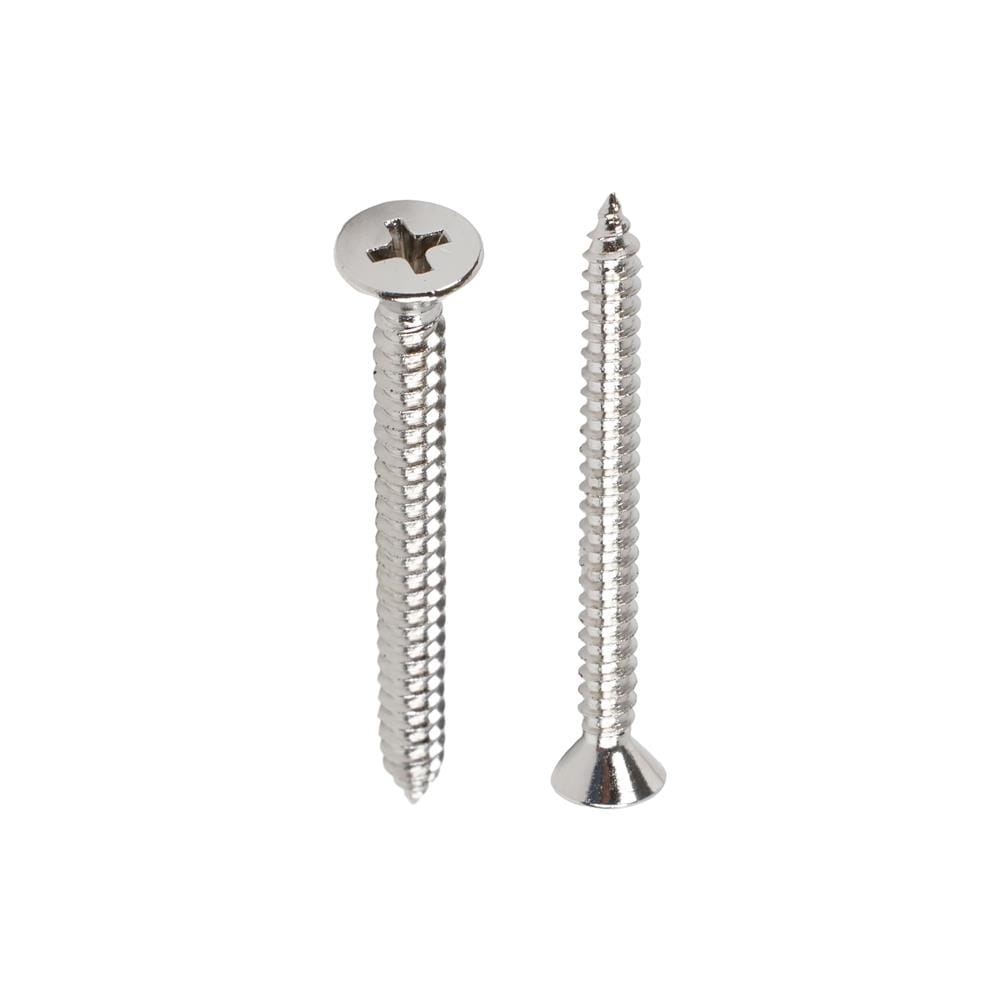 สกรูเกลียวปล่อย TF DEXZON 10X2 นิ้ว แพ็ก 10 ชิ้น