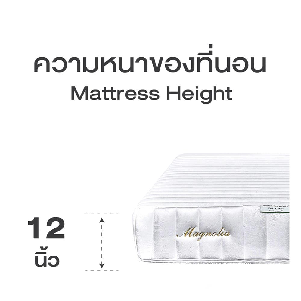 ที่นอนพ็อกเก็ตสปริง 3.5 ฟุต SERA GRANDE รุ่น MAGNOLIA
