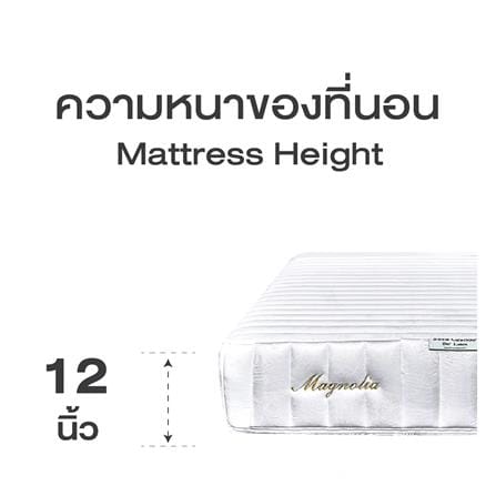ที่นอนพ็อกเก็ตสปริง 3.5 ฟุต SERA GRANDE รุ่น MAGNOLIA_8
