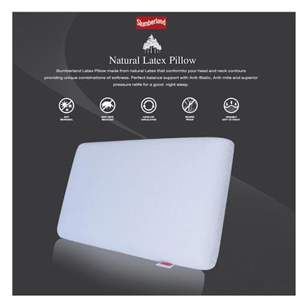 หมอนสุขภาพ ยางพารา SLUMBERLAND NATURAL 70x43x12 ซม. สีขาว_2