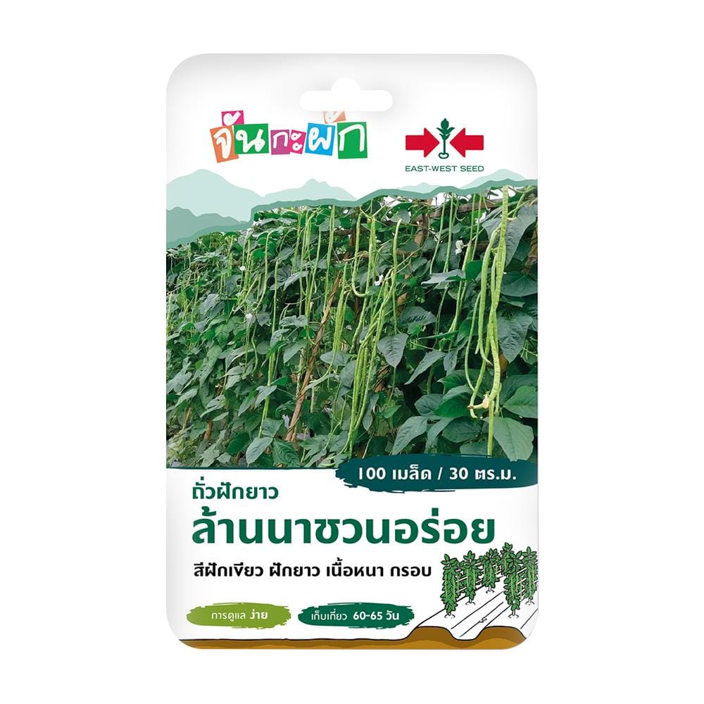 ถั่วฝักยาวล้านนาชวนอร่อย ศรแดง