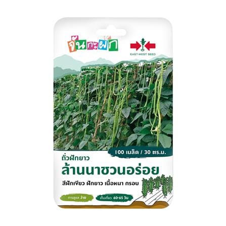 ถั่วฝักยาวล้านนาชวนอร่อย ศรแดง