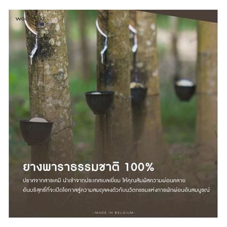 ที่นอนไฮบริด 5 ฟุต สุญญากาศ WOODFIELD รุ่น E-HYBRID II พร้อมหมอนหนุน 2 ชิ้น_15