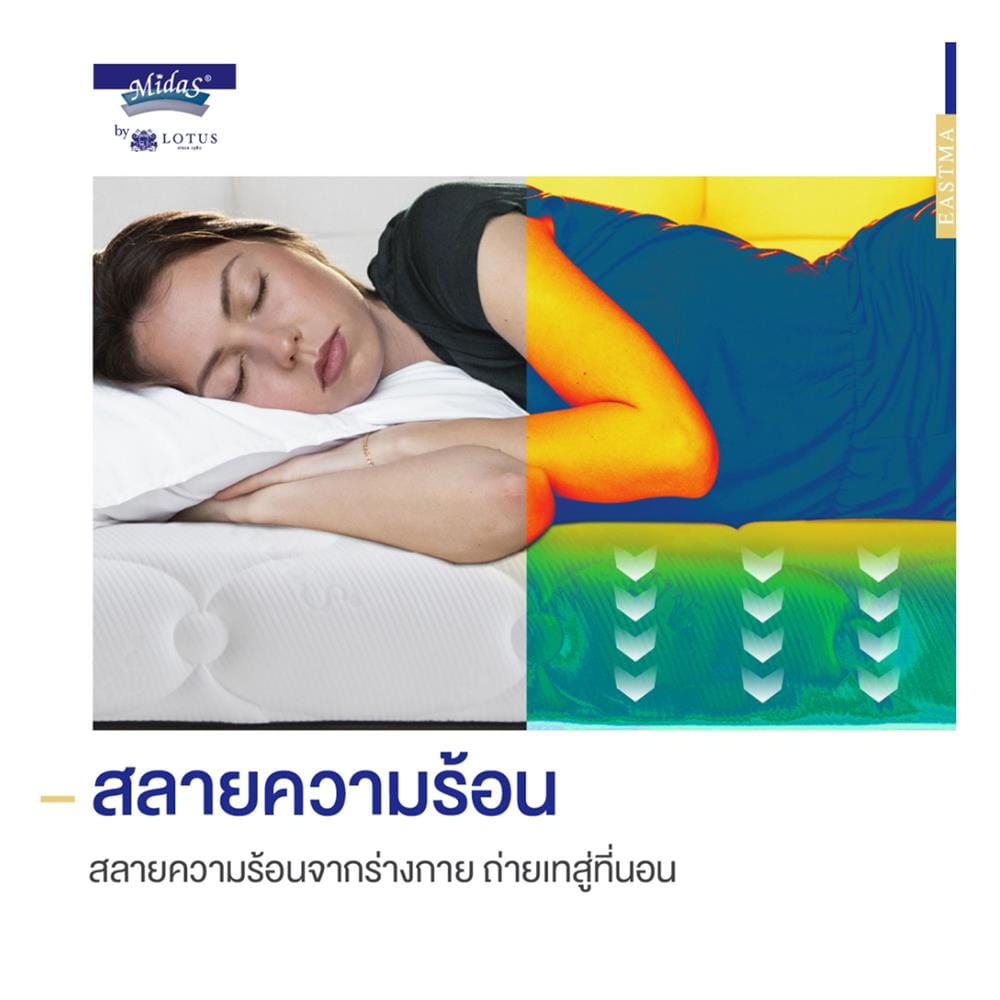 ที่นอนไฮบริด 3.5 ฟุต สุญญากาศ MIDAS รุ่น EASTMA 1000 พร้อมหมอนหนุน 1 ชิ้น