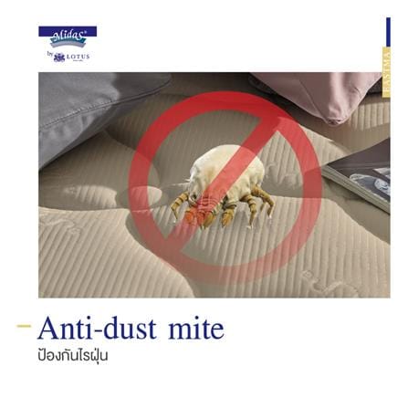 ที่นอนไฮบริด 5 ฟุต สุญญากาศ MIDAS รุ่น EASTMA 1000 พร้อมหมอนหนุน 2 ชิ้น_14