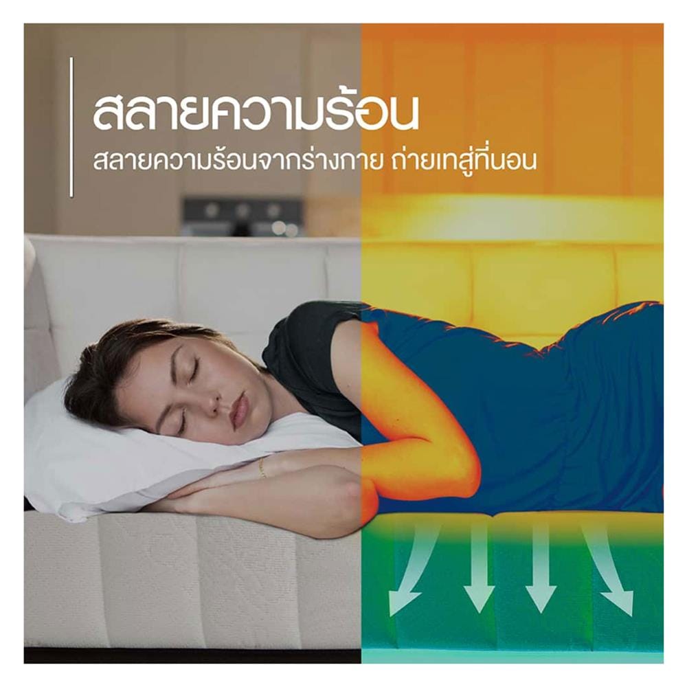 ที่นอนไฮบริด 3.5 ฟุต สุญญากาศ LOTUS รุ่น I-LATEX I พร้อมหมอนหนุน 1 ชิ้น
