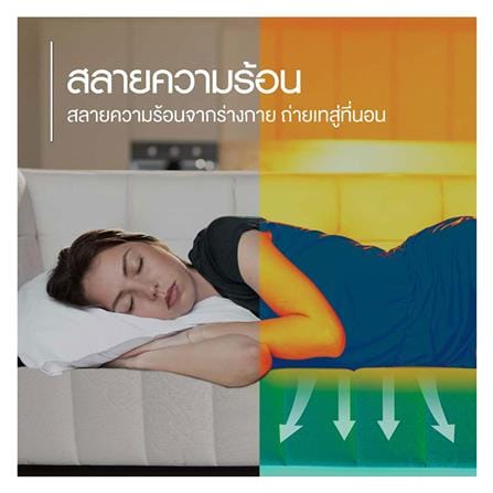 ที่นอนไฮบริด 3.5 ฟุต สุญญากาศ LOTUS รุ่น I-LATEX I พร้อมหมอนหนุน 1 ชิ้น_9