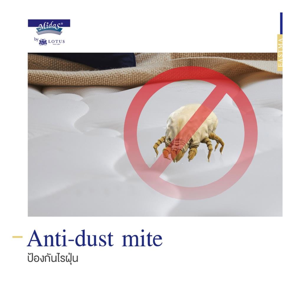 ที่นอนไฮบริด 5 ฟุต สุญญากาศ MIDAS รุ่น EASTMA 2000 พร้อมหมอนหนุน 2 ชิ้น