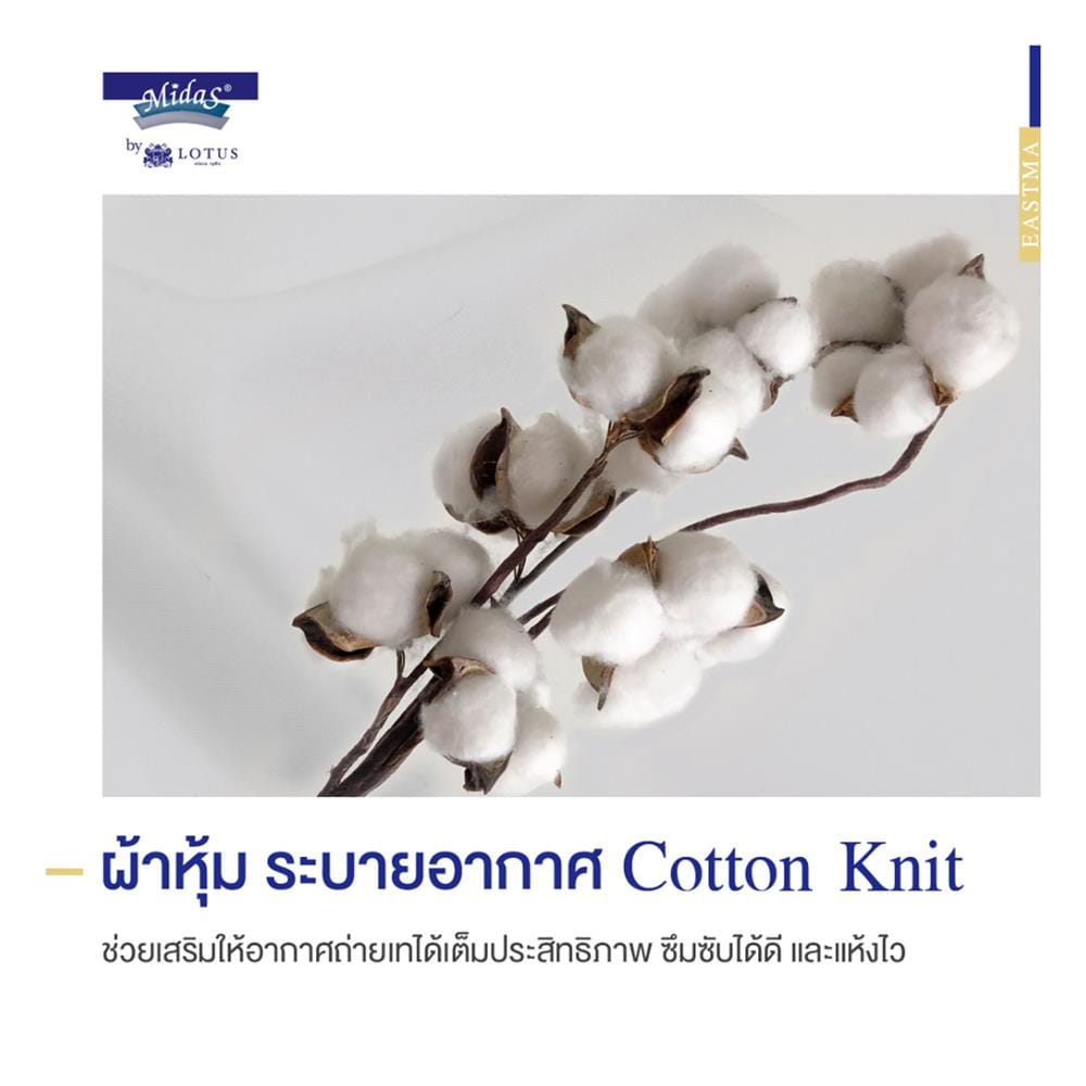 ที่นอนไฮบริด 6 ฟุต สุญญากาศ MIDAS รุ่น EASTMA 2000 พร้อมหมอนหนุน 2 ชิ้น