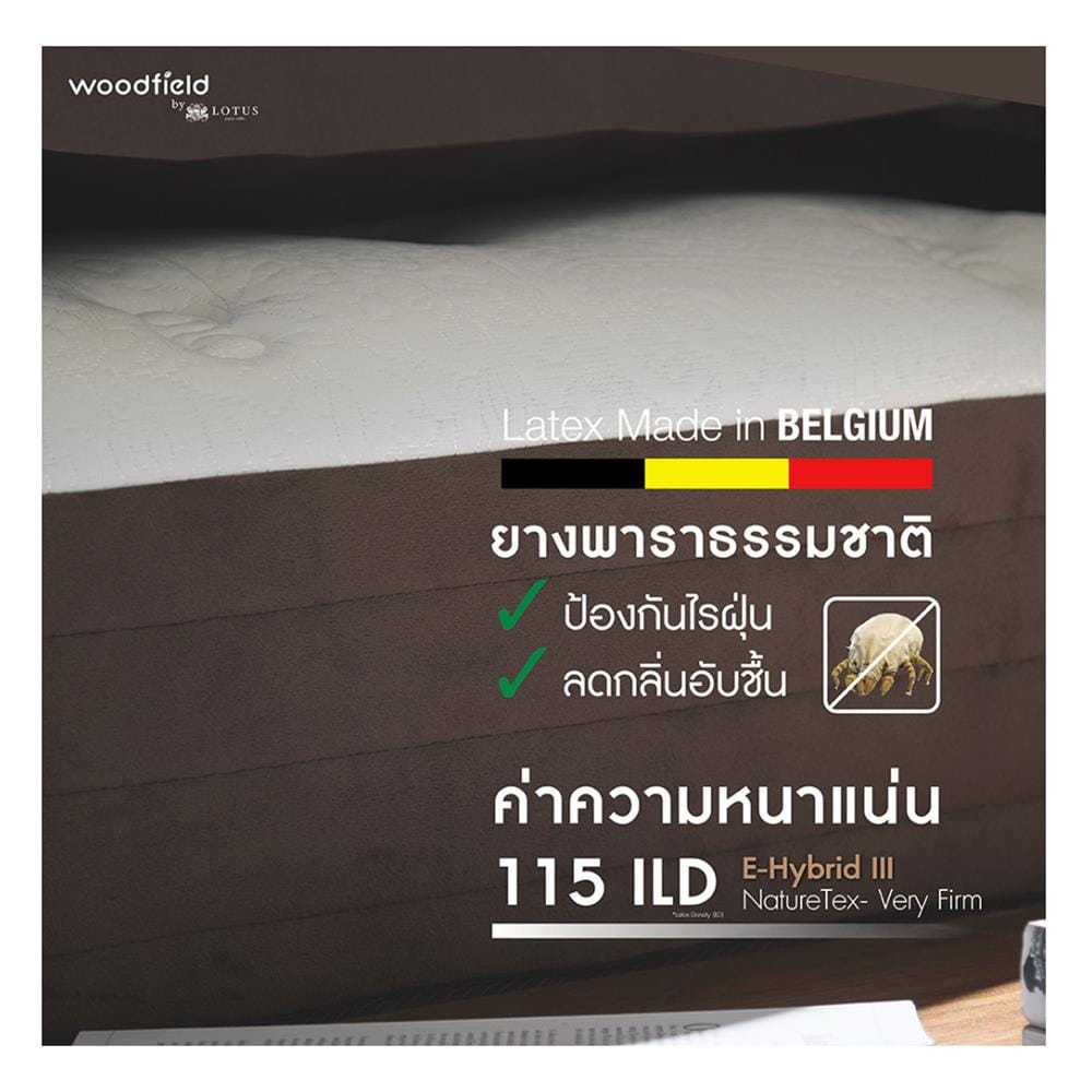 ที่นอนไฮบริด 6 ฟุต สุญญากาศ WOODFIELD รุ่น E-HYBRID III พร้อมหมอนหนุน 2 ชิ้น