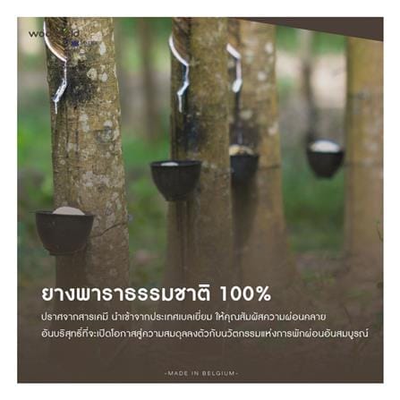 ที่นอนไฮบริด 6 ฟุต สุญญากาศ WOODFIELD รุ่น E-HYBRID III พร้อมหมอนหนุน 2 ชิ้น_12