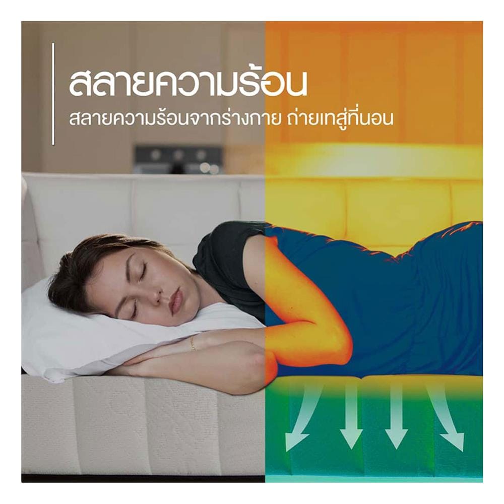 ที่นอนไฮบริด 3.5 ฟุต สุญญากาศ LOTUS รุ่น I-LATEX III พร้อมหมอนหนุน 1 ชิ้น