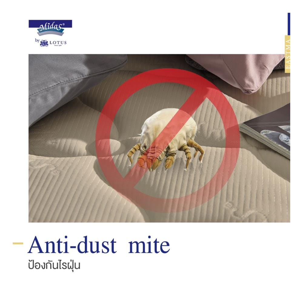 ที่นอนไฮบริด 6 ฟุต สุญญากาศ MIDAS รุ่น EASTMA 3000 พร้อมหมอนหนุน 2 ชิ้น