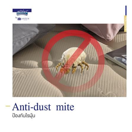 ที่นอนไฮบริด 3.5 ฟุต สุญญากาศ MIDAS รุ่น EASTMA 3000 พร้อมหมอนหนุน 1 ชิ้น_9