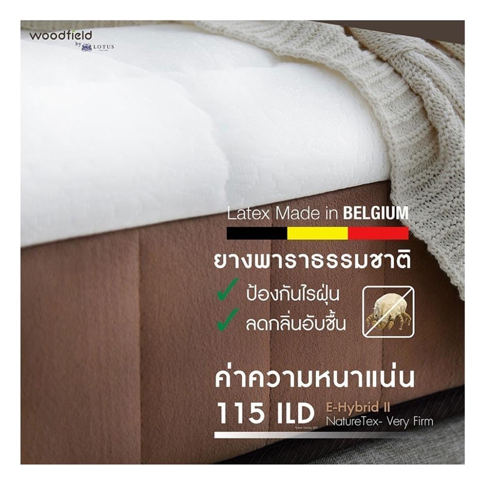 ที่นอนไฮบริด 3.5 ฟุต สุญญากาศ WOODFIELD รุ่น E-HYBRID II พร้อมหมอนหนุน 1 ชิ้น