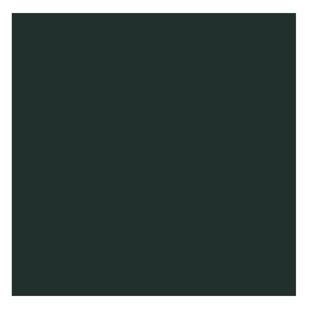 ผ้านวม PREMIER SATIN ROYAL TOUCH SOLID 60X80 นิ้ว SPC065