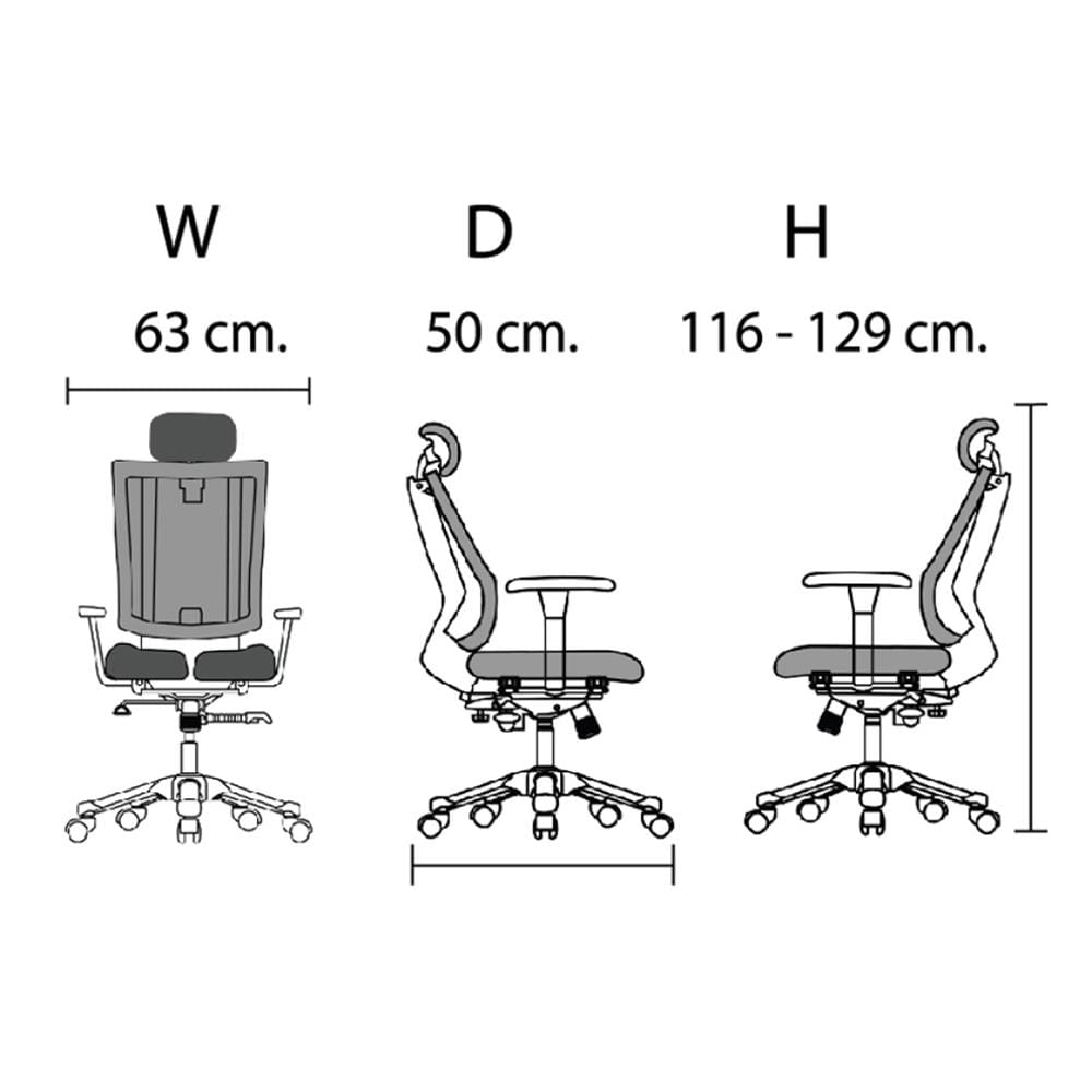 เก้าอี้สุขภาพ HARA CHAIR URUUS-2 สีดำ
