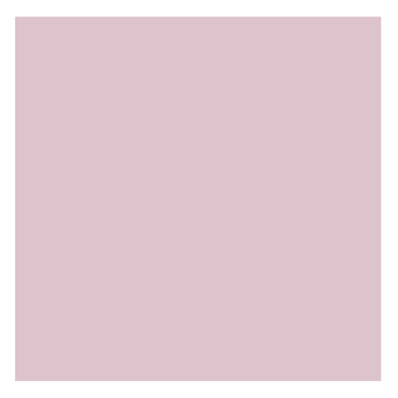 ชุดผ้าปูที่นอน 5 ฟุต (ชุด 3 ชิ้น) PREMIER SATIN ROYAL TOUCH SOLID SPC064_3
