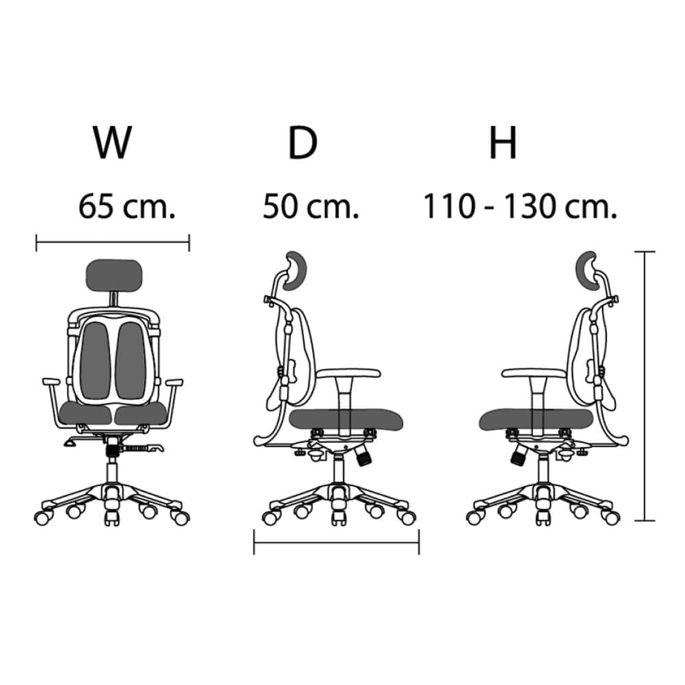 เก้าอี้สุขภาพ HARA CHAIR NIETZSCHE-2+LB สีเทา