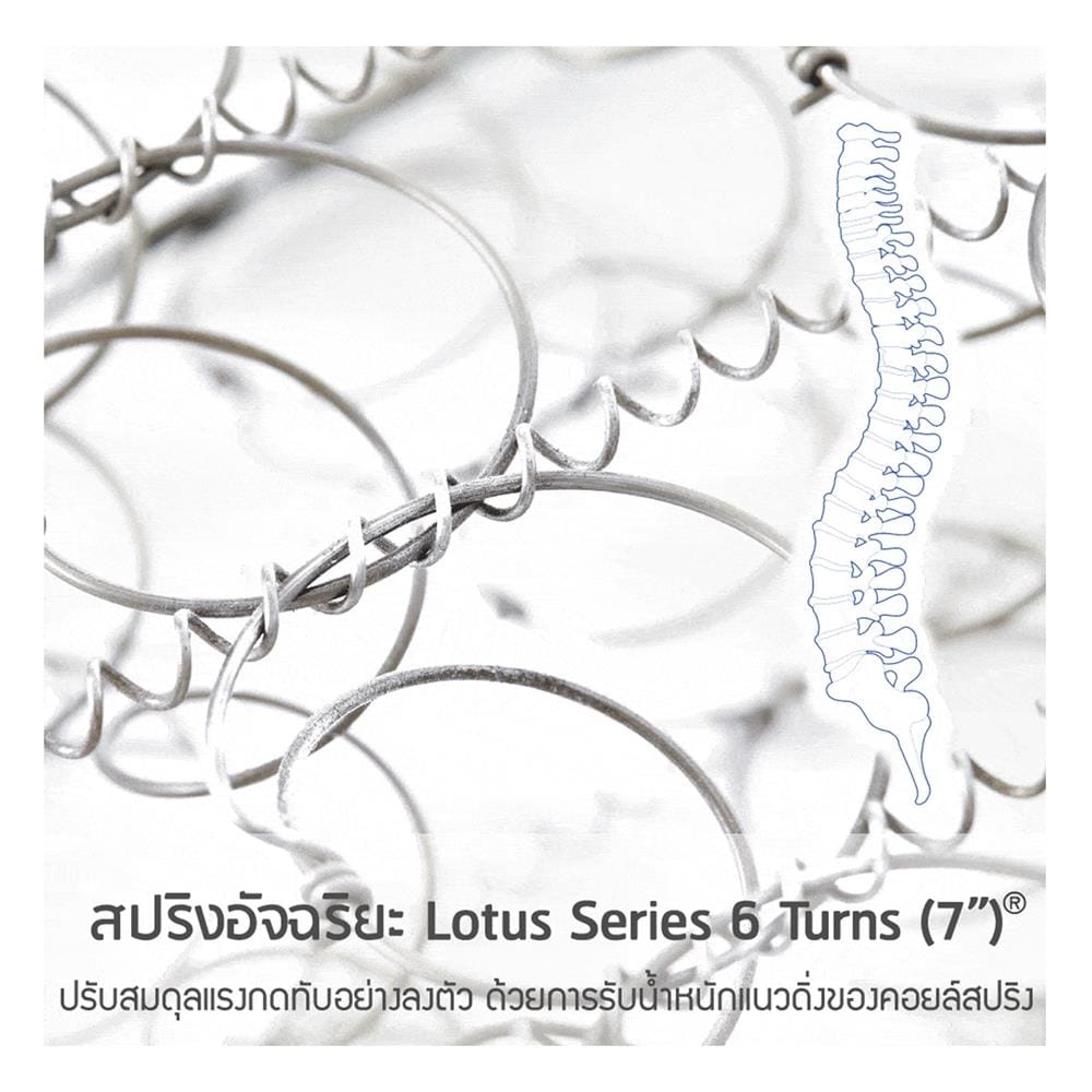 ที่นอนสปริง 3.5 ฟุต LOTUS รุ่น คิมเบอร์
