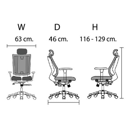 เก้าอี้สุขภาพ HARA CHAIR THALES-2 สีดำ_4