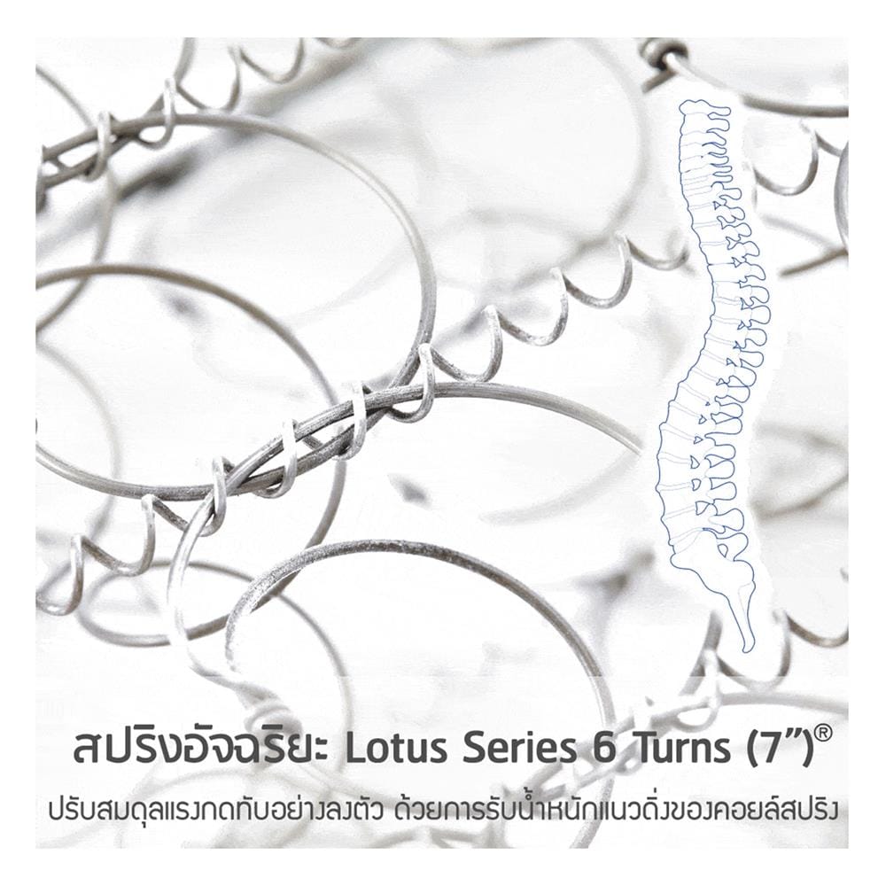 ที่นอนสปริง 5 ฟุต LOTUS รุ่น KIMBER