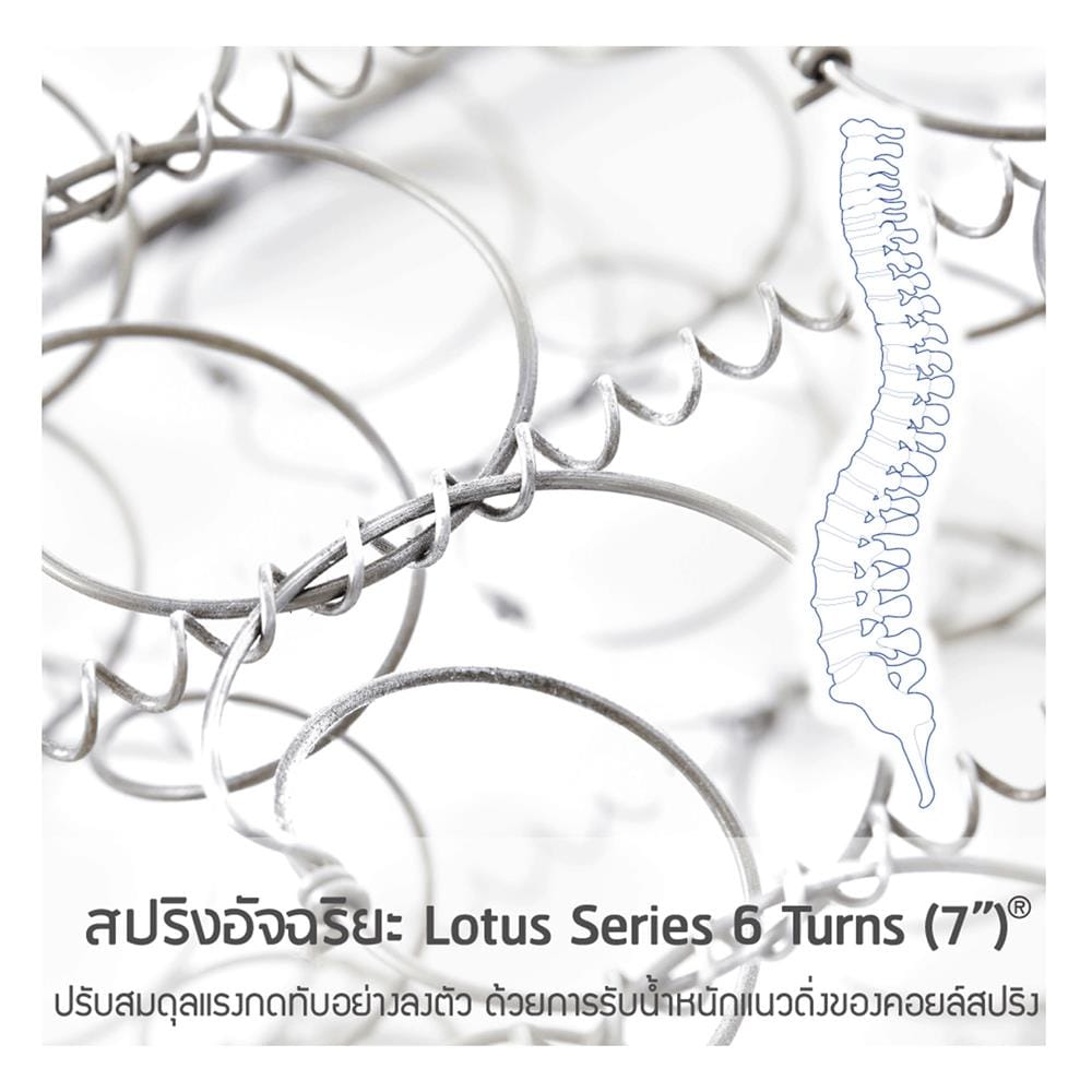 ที่นอนสปริง 5 ฟุต LOTUS รุ่น ZYMPHONY