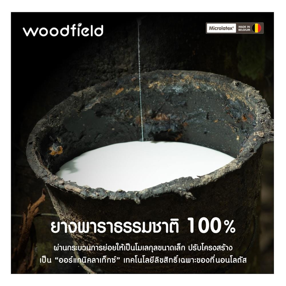 ที่นอนไฮบริด 5 ฟุต สุญญากาศ WOODFIELD รุ่น W-NATURE I พร้อมหมอนหนุน 2 ชิ้น