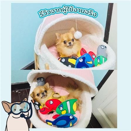 ของเล่นสุนัข KAFBO SEA ANGLEFISH_5