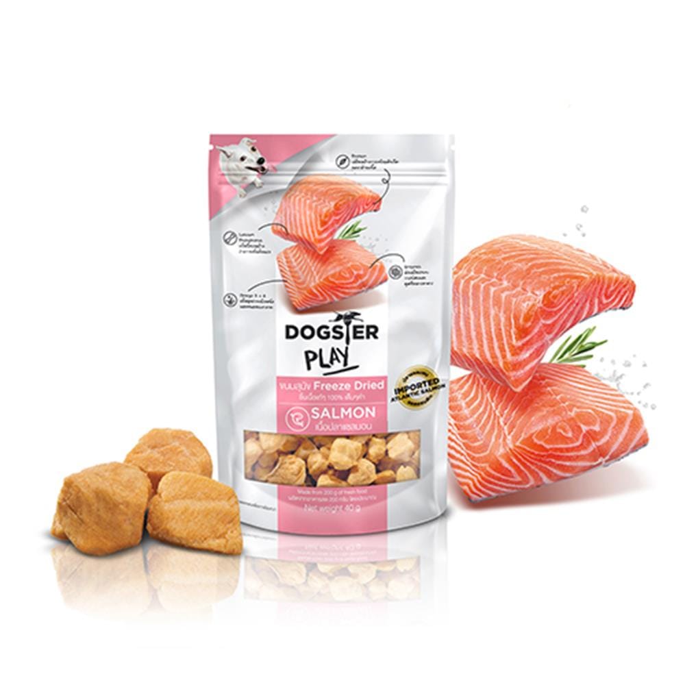 ขนมสุนัข DOGSTER PLAY SALMON 40 ก.