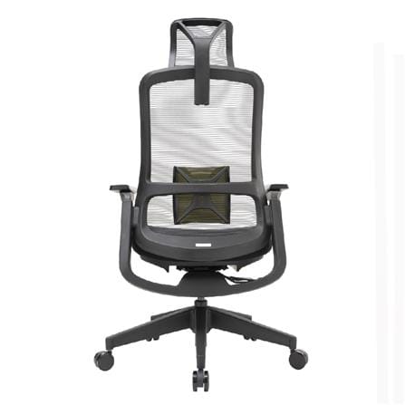 D.I.Y. เก้าอี้สุขภาพ WORKSCAPE LIBRA LITE WCH-00003 สีดำ_5