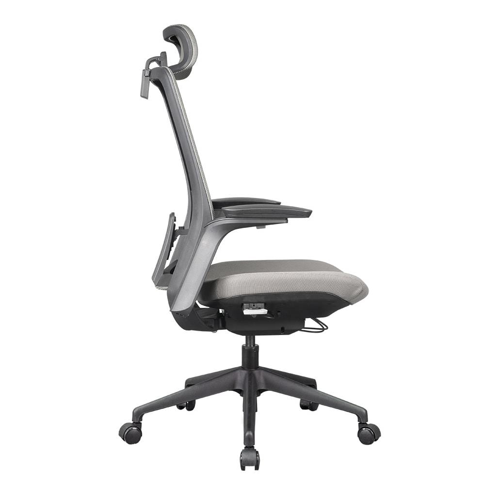 D.I.Y. เก้าอี้สุขภาพ WORKSCAPE MENSA WCH-00004 สีเทาเข้ม