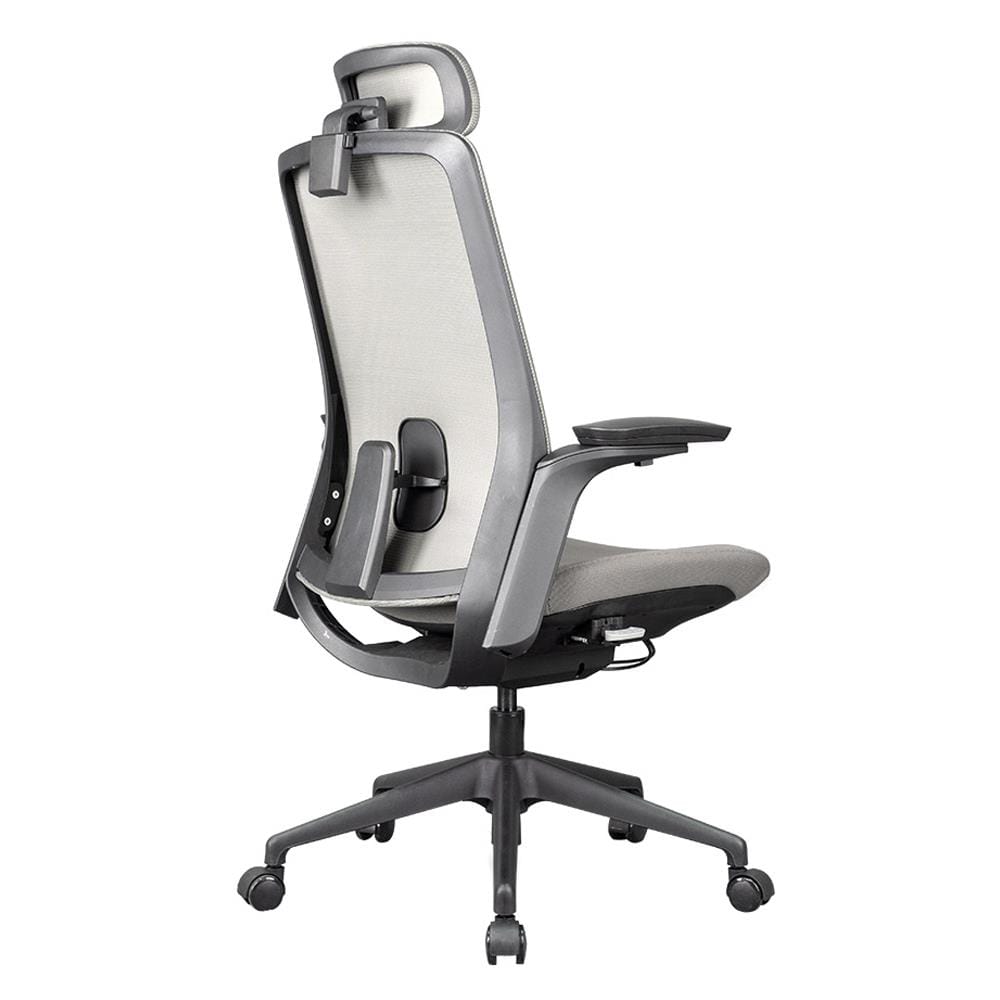 D.I.Y. เก้าอี้สุขภาพ WORKSCAPE MENSA WCH-00004 สีเทาเข้ม