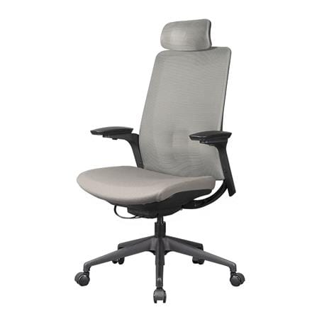 D.I.Y. เก้าอี้สุขภาพ WORKSCAPE MENSA WCH-00004 สีเทาเข้ม_0