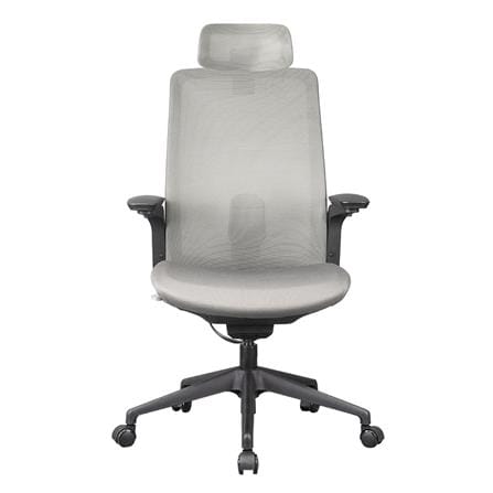 D.I.Y. เก้าอี้สุขภาพ WORKSCAPE MENSA WCH-00004 สีเทาเข้ม_1
