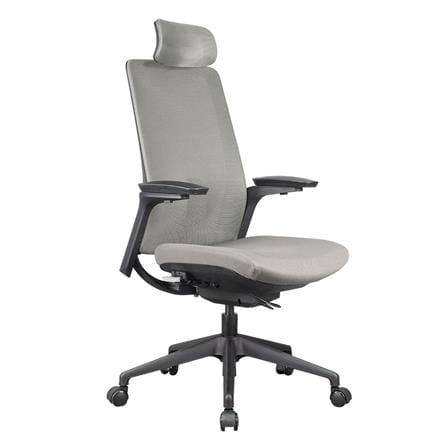 D.I.Y. เก้าอี้สุขภาพ WORKSCAPE MENSA WCH-00004 สีเทาเข้ม_2