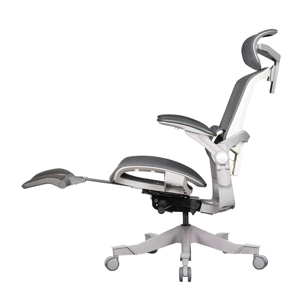 D.I.Y. เก้าอี้สุขภาพ WORKSCAPE VIRGO WCH-00009 สีเทา