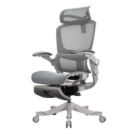D.I.Y. เก้าอี้สุขภาพ WORKSCAPE VIRGO WCH-00009 สีเทา_0
