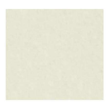 ไม้บัว DURAONE 10X300X1.2 ซม. สีรองพื้นครีม_2