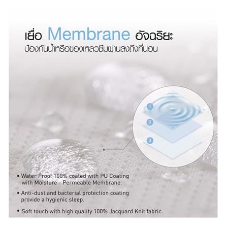 ผ้ารองกันเปื้อน KING SIZE LOTUS HYGIENE WHITE_6
