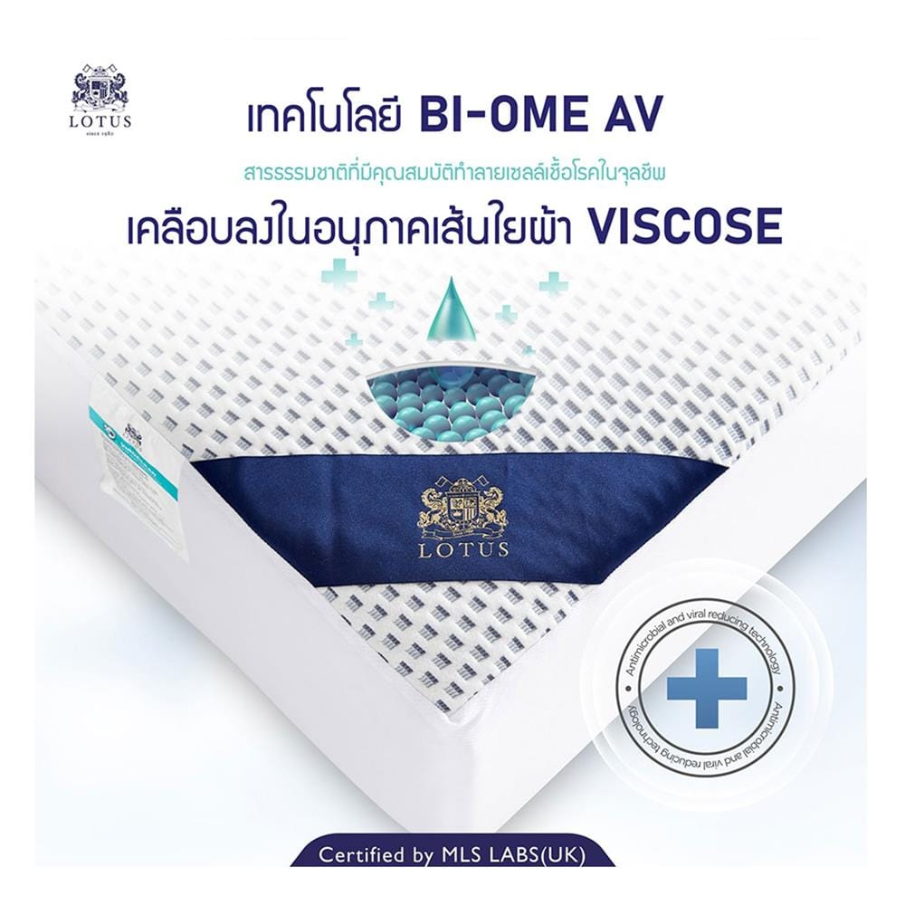 ผ้ารองกันเปื้อน QUEEN SIZE LOTUS VIROCLEAN WHITE