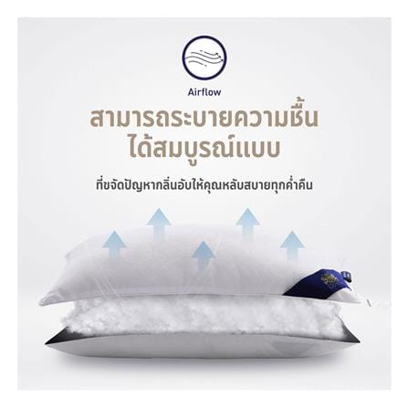 หมอนหนุน ไมโครไฟเบอร์ LOTUS MICRODOWNIA MEDIUM 20x30 นิ้ว สีขาว_4