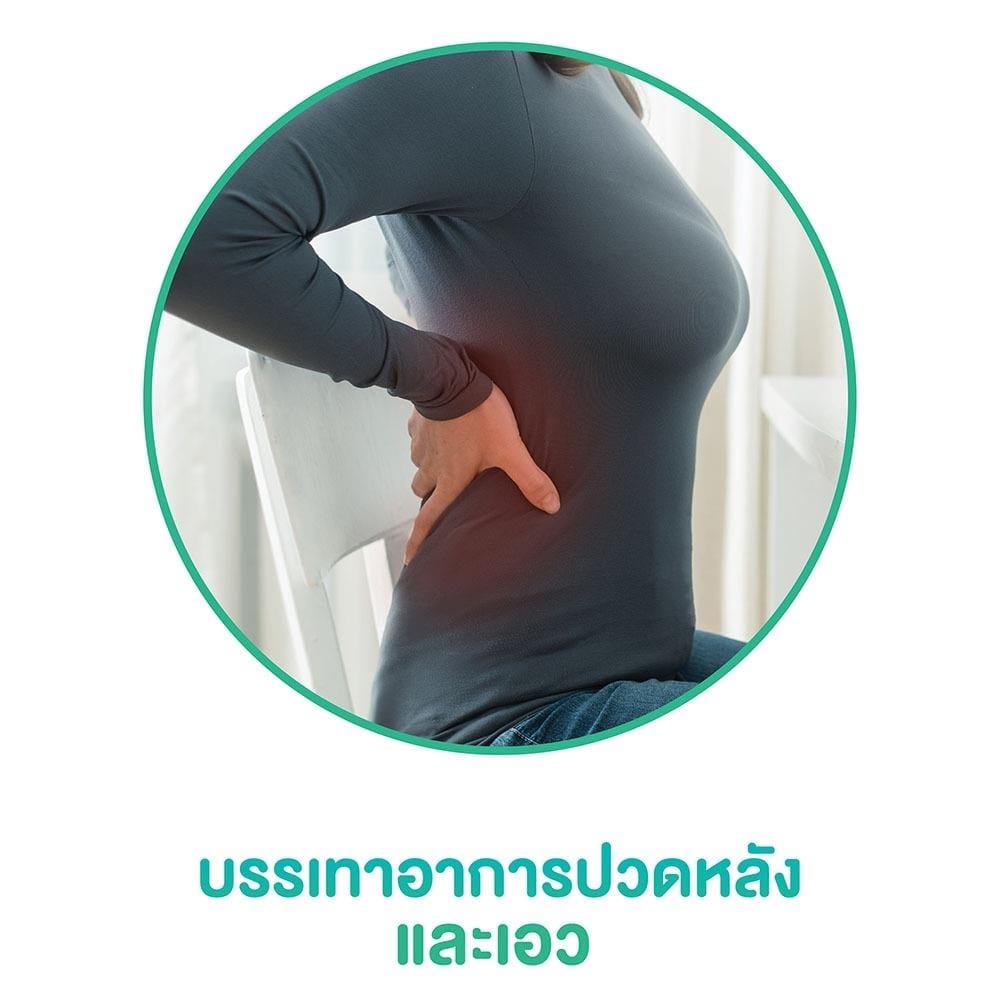 เบาะรองนั่งเพื่อสุขภาพ WKS WAH-00007 สีเทา