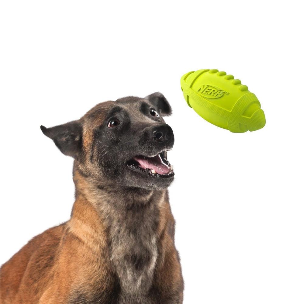 ของเล่นลูกบอลสุนัข NERF DOG RUBBER FOOTBALL MEDIUM 7 นิ้ว